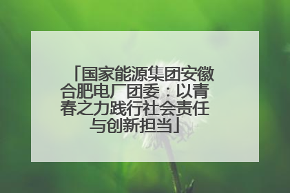 国家能源集团安徽合肥电厂团委：以青春之力践行社会责任与创新担当